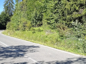 Teren intravilan SINAIA 