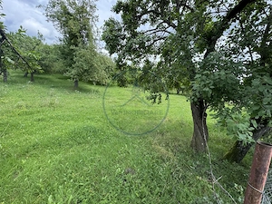 🏡 Teren intravilan | 22Ari. |  Budacu de Sus, la doar 17 km de Bistrița! 🌳 - imagine 3