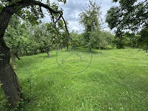 🏡 Teren intravilan | 22Ari. |  Budacu de Sus, la doar 17 km de Bistrița! 🌳 - imagine 2