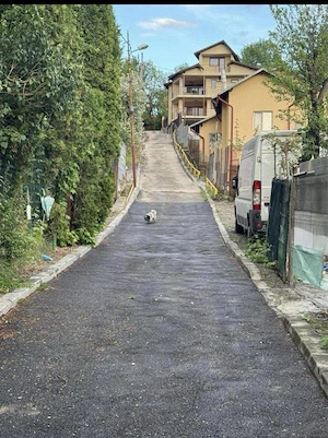 Teren de vânzare în Campina ( Str.Alea Sulfinei nr .3 , prima stradă la stanga după spital TBC ) .Te - imagine 2