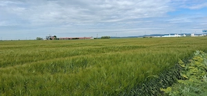 Teren Intravilan - 7.767 mp,deschidere 19.3  ml la DN1 ideal investitii industriale - imagine 6
