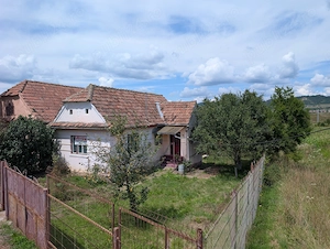 Casa si teren de vanzare - imagine 5