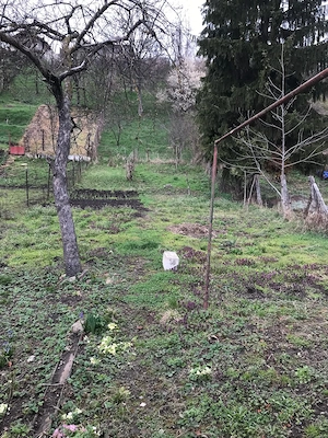 Teren 983 mp+casă, Horea Teculescu, Sighișoara-aproape de centru - imagine 5