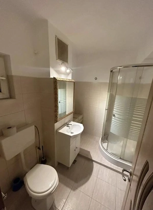 Apartament 3 camere TUDOR VLADIMIRESCU  - imagine 8