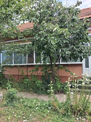 Vând casa in Brebeni Olt - imagine 8