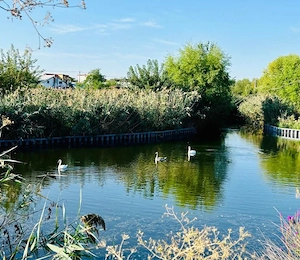 Casă nouă 2024 | 5 camere | Teren 400 mp | Chitila | Lângă lac și parc - imagine 11