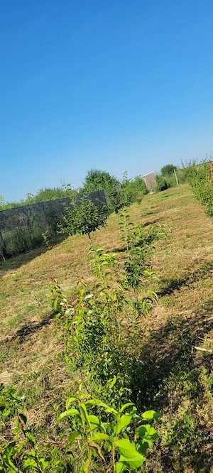 Vand teren in Călărași zona linistita, cu vecini foarte buni. - imagine 8