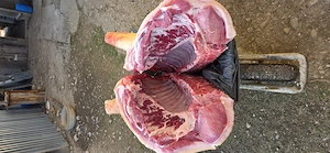De vanzare porci in viu sau carcasa - imagine 3