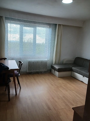 Zona Semiluna, 2 camere decomandat etajul 4 din 10-cu lift, mobilat si utilat - imagine 5