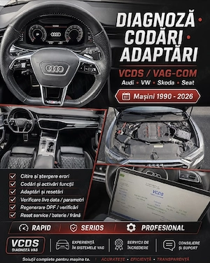 Diagnoza Auto VAG Buzau / Codari / Adaptari Audi VW Skoda Seat VCDS