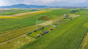 Parcele de teren intra/extravilan 563, 606mp Bod/2 proiecte diferite! - imagine 14