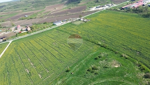 Teren de vanzare sau inchiriat 19ha intravilan, Agnita,Sibiu - imagine 7