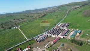 Teren de vanzare sau inchiriat 19ha intravilan, Agnita,Sibiu - imagine 11