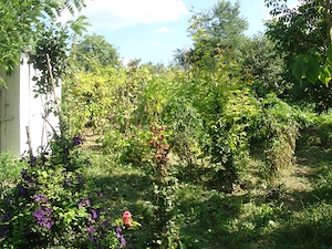 Casa de Vanzare Comuna Lipovat Judetul Vaslui - imagine 3
