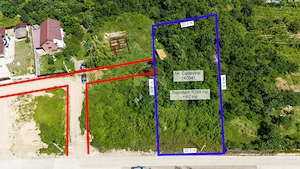 Teren de Vânzare 1450mp la asfalt - Plopii Fără Soț - Bucium, Iași