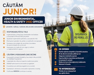 Inspector Junior SSM & Mediu- Gavle Suedia