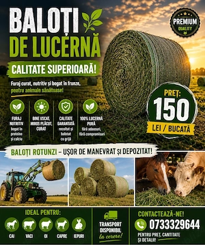 Vand baloti de lucerna calitate premium