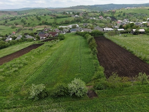 Teren intravilan 5.000 mp | Gaz + curent trifazic | Valea Arini   Bălțătești  - imagine 3