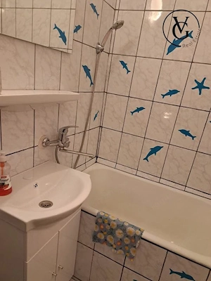 Apartament 2 Camere - Bratianu - An Universitar - imagine 6