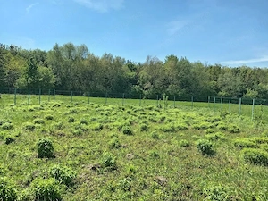 Teren Intravilan 837 mp Stupini