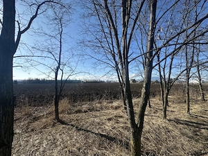 Teren Intravilan 60.000mp