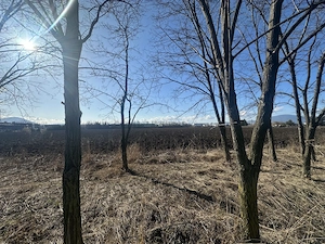 Teren Intravilan 60.000mp - imagine 2