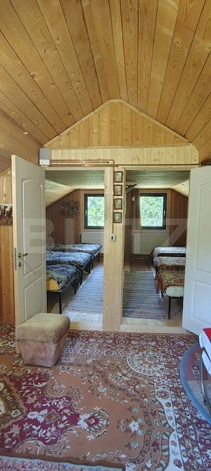 Casa de vacanta 4 camere, 100 mp, teren 768 mp, Dealu Mare, Comuna Rasca - imagine 19