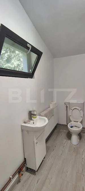Casa de vacanta 4 camere, 100 mp, teren 768 mp, Dealu Mare, Comuna Rasca - imagine 17