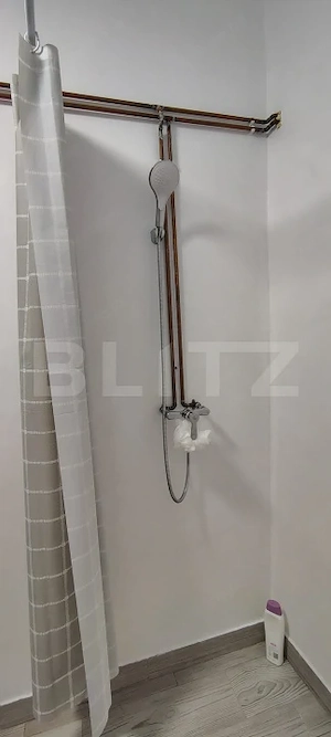Casa de vacanta 4 camere, 100 mp, teren 768 mp, Dealu Mare, Comuna Rasca - imagine 15