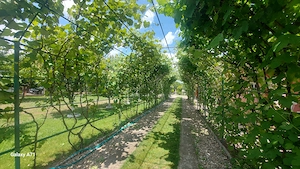 Snagov- Gruiu- Santul Floresti -Proprietate cu stil pentru oameni gospodari!