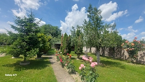 Snagov- Gruiu- Santul Floresti -Proprietate cu stil pentru oameni gospodari! - imagine 8