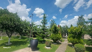 Snagov- Gruiu- Santul Floresti -Proprietate cu stil pentru oameni gospodari! - imagine 10