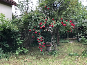 Vând teren cu căsuță de vacanță în comuna Butimanu, sat Bărbuceanu, județul Dâmbovița - imagine 3