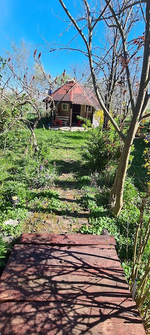 Vând teren cu căsuță de vacanță în comuna Butimanu, sat Bărbuceanu, județul Dâmbovița - imagine 5