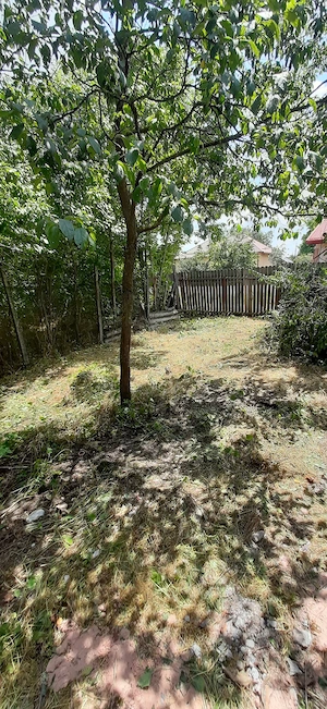 Casă și teren intravilan 2.640 mp   sat Meri, comuna Drăgănești, Prahova - imagine 7
