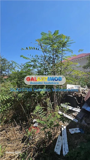 Teren Casa sector 5 880 mp COD 290 - imagine 2