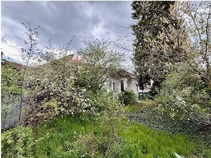 OPORTUNITATE DE DEZVOLTARE –  TG. MURES 826 MP  - imagine 3