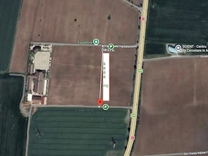Tancabesti DN1, Equestria