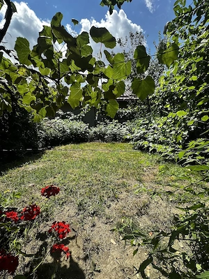 Casa individuala de vanzare, 270 mp, Dej - imagine 14