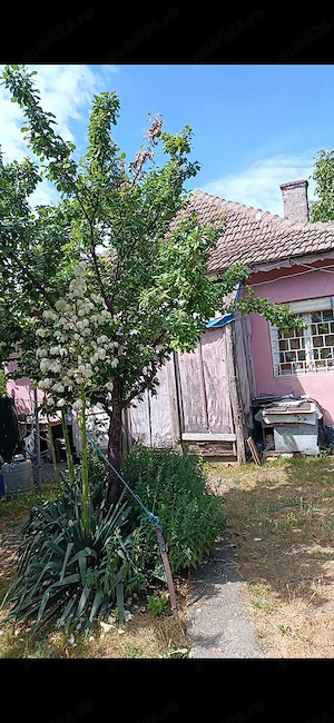 Casa de vanzare + doua terenuri agricole