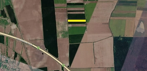 Ocazie in Moara Vlasiei, Tarla 138, teren agricol  S = 10.800 mp. - imagine 2