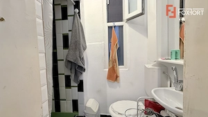 Comision 0 % Apartament de vanzare 4 camere zona Piata Maria - Timisoara - imagine 20
