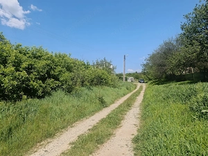 Teren intravilan sat Cornetu comuna Simnicu de Sus,deschidere 25m lungime 50m - imagine 5
