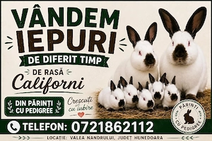 Caută altă casă. 