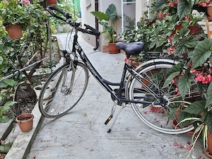 Bicicleta - descriere