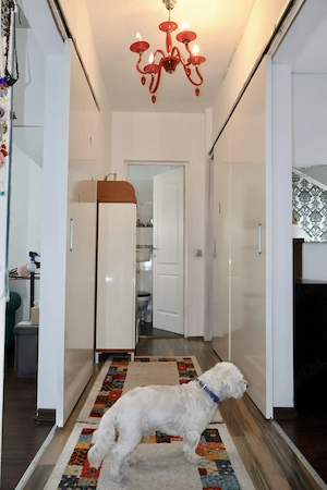 URGENT Apartament pe două niveluri, 113 mp utili, Baciu 175.000   neg - imagine 6