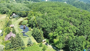 DOMENIU DE 2.1 HA CU 2 CABANE, LAC SI PADURE - OPORTUNITATE PENTRU TURISM SI RETREATURI - imagine 3