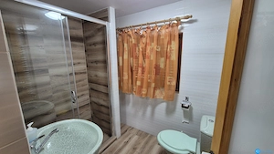 DOMENIU DE 2.1 HA CU 2 CABANE, LAC SI PADURE - OPORTUNITATE PENTRU TURISM SI RETREATURI - imagine 7