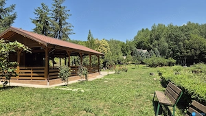 DOMENIU DE 2.1 HA CU 2 CABANE, LAC SI PADURE - OPORTUNITATE PENTRU TURISM SI RETREATURI - imagine 10