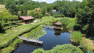 DOMENIU DE 2.1 HA CU 2 CABANE, LAC SI PADURE - OPORTUNITATE PENTRU TURISM SI RETREATURI - imagine 4